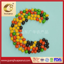 Export Quality Wholesale Various Chocolate Beans